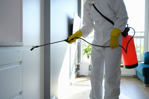 Best Commercial Mold Removal  in Long Grove, IA