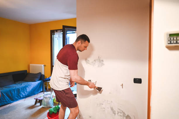 Best Fast Mold Removal  in Long Grove, IA